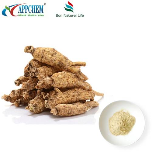 Panax Quinquefolius Extract