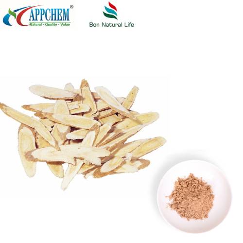 Radix Astragali Extract hmoov