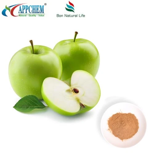 Antioxidant Ingredient Procyanidin B2 Hmoov