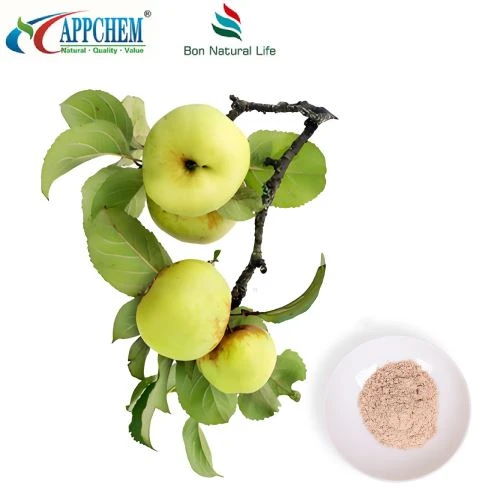 Kua Extract Phlorizin Hoobkas Qauv