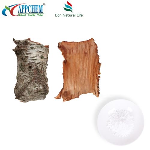 Dawb Birch Bark Extract
