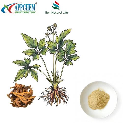 Coptis hauv paus Extract