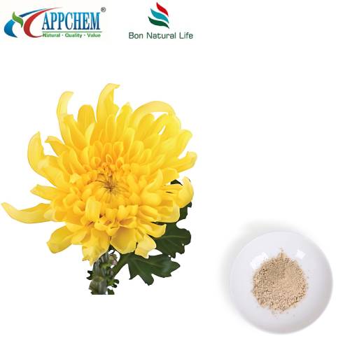 Flos Chrysanthemi Extract hmoov