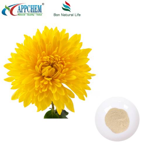 Flos Chrysanthemi Extract