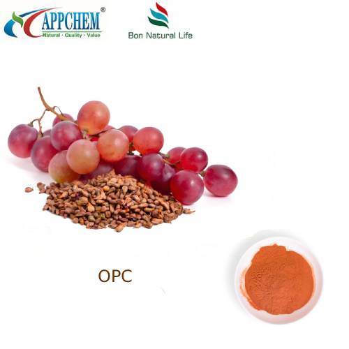 Grape Seed Extract 95 OPC