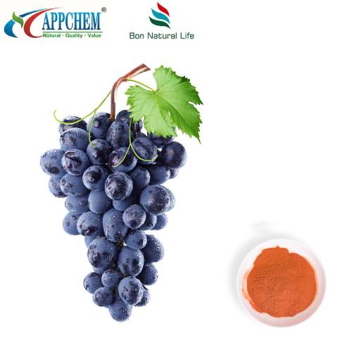 Grape Seed Extract Powder 95 Polyphenols