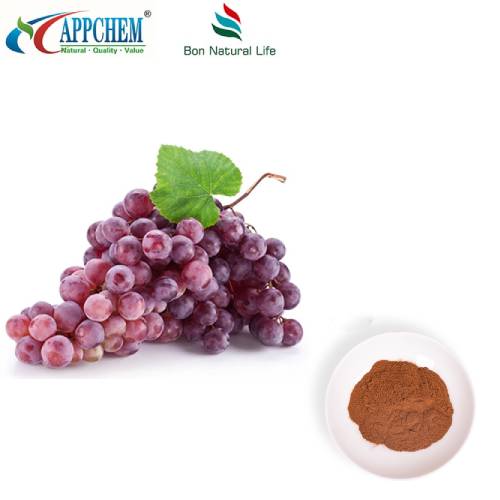 Grape Skin Extract Powder