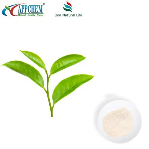 Ntsuab tshuaj yej Extract L-Theanine