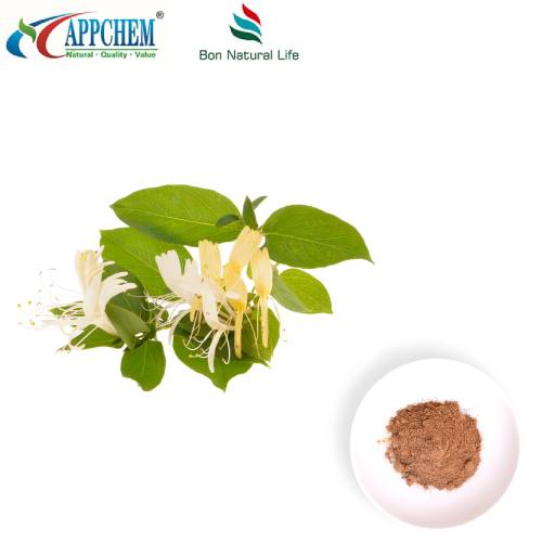 Honeysuckle paj Extract hmoov