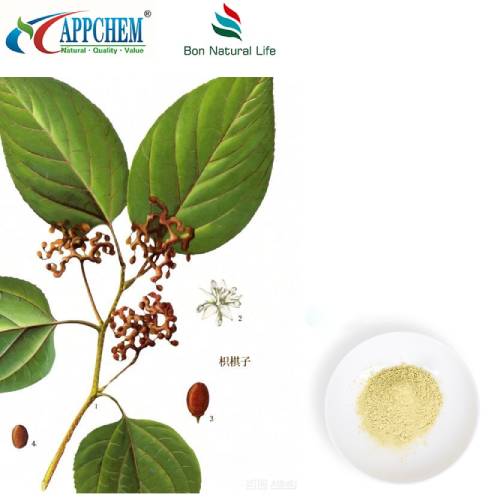 Hovenia Dulcis Extract hmoov
