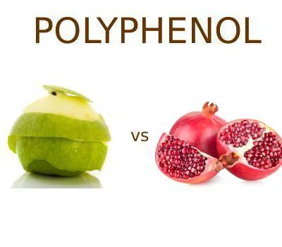 Kua Polyphenols vs Pomegranate Polyphenols: Qhov twg zoo dua ua haujlwm cov k...