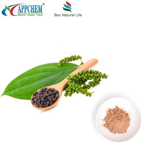 Ligustrum Txiv Hmab Txiv Ntoo Extract Powder