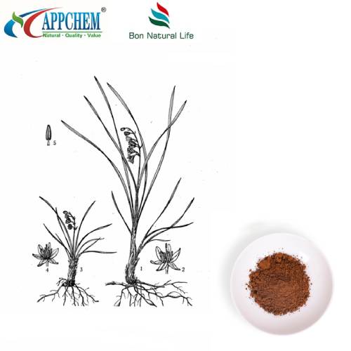 Lilyturf cag Extract