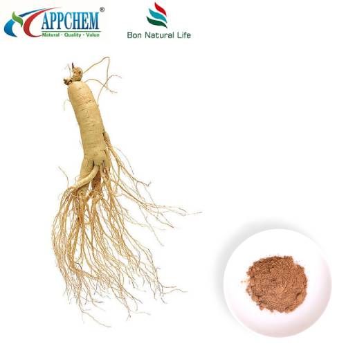 Panax Ginseng Extract hmoov