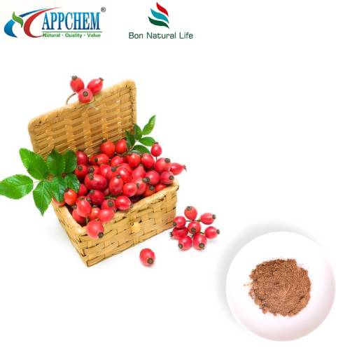 Rosehip Extract hmoov