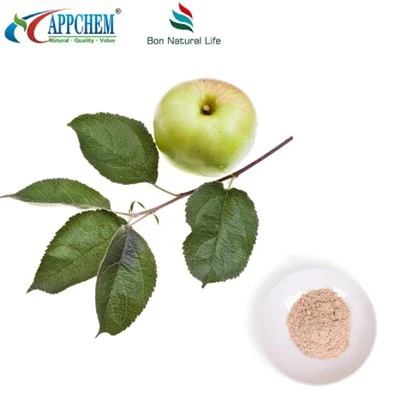 Kua Extract Phloretin Bulk Supply