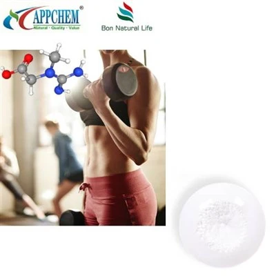 Creatine Monohydrate Bulk Powder