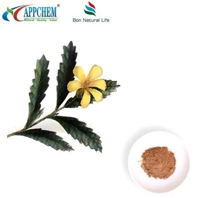 Damiana Extract hmoov
