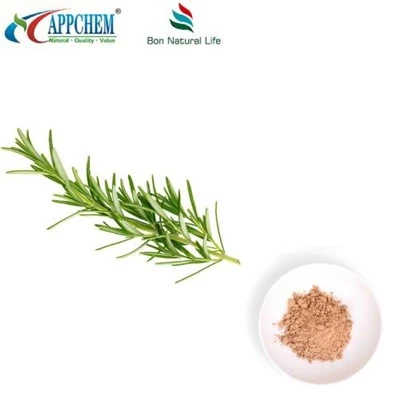 Dried Rosemary Powder