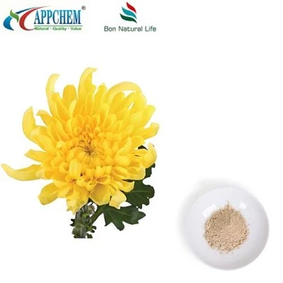 Flos Chrysanthemi Extract hmoov