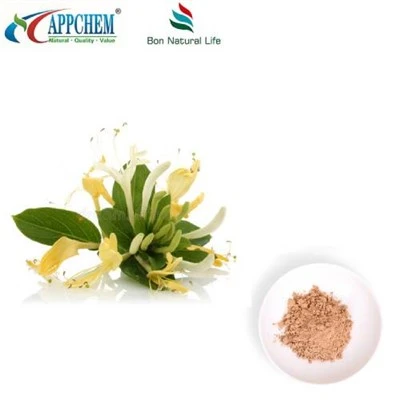 Flos Lonicerae Extract hmoov