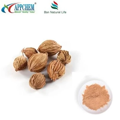 Fructus Amomi Extract hmoov