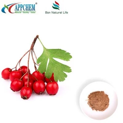 Hawthorn nplooj Extract