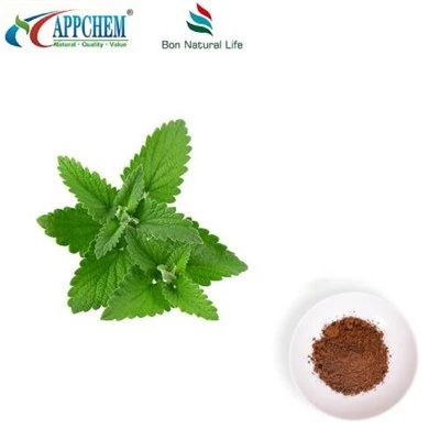 Lemon Balm Extract hmoov