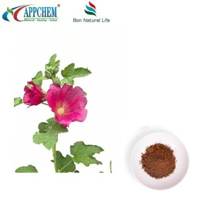 Marshmallow nplooj Extract