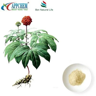 Nooginseng Radix thiab Rhizoma Extract