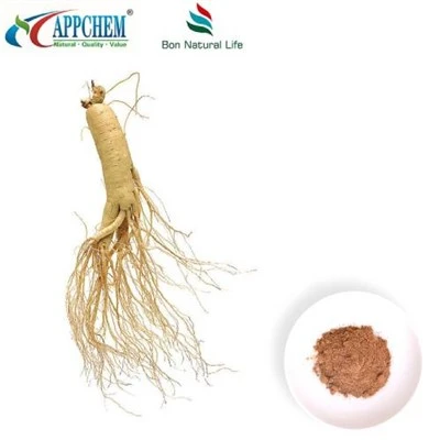 Panax Ginseng Extract hmoov