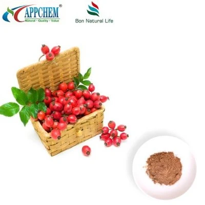 Rosehip Extract hmoov