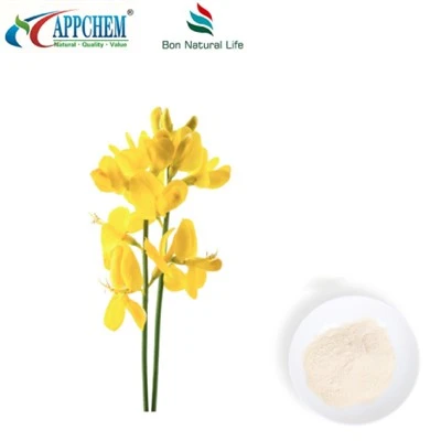 Thermopsis lasnolata r.br extract; Cytisine HPLC98% HMOOV 485-35-8